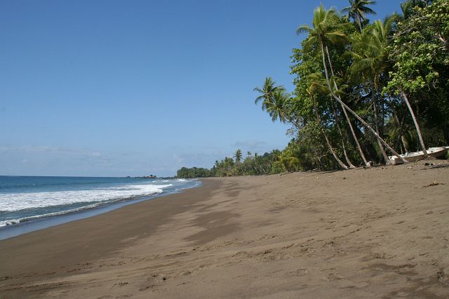 140-corcovado-23.jpg - Een goudkleurig strand bezaaid met kokospalmen ...