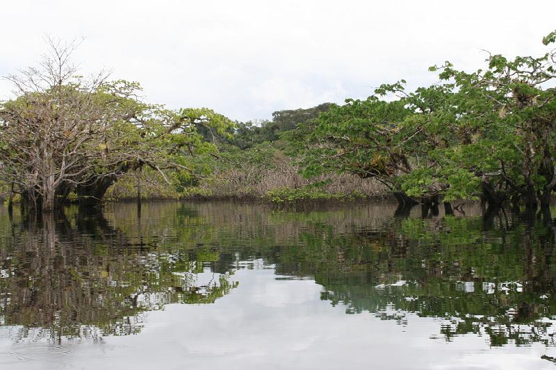 Cuyabeno_Laguna_Grande_10.JPG