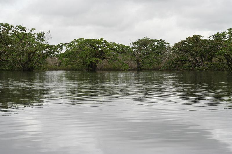 Cuyabeno_Laguna_Grande_4.JPG