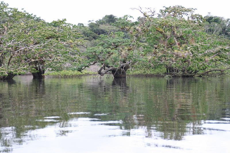 Cuyabeno_Laguna_Grande_6.JPG