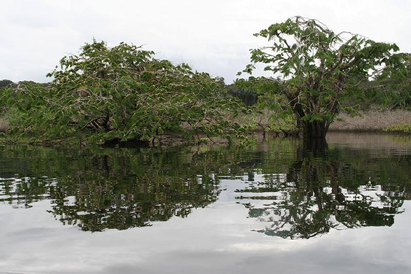 Cuyabeno_Laguna_Grande_9.JPG