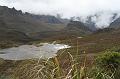 Cajas_1
