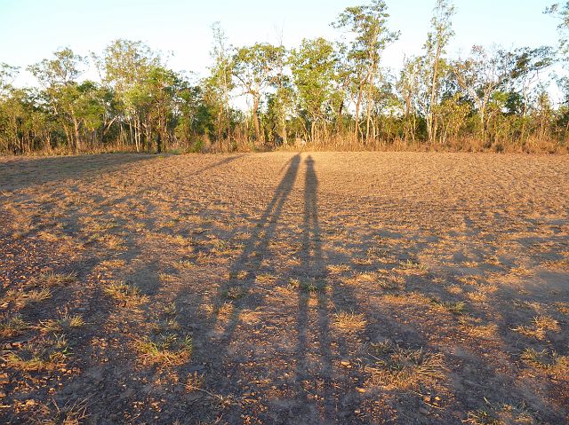 48-litchfield-32.jpg - Kakadu National Park