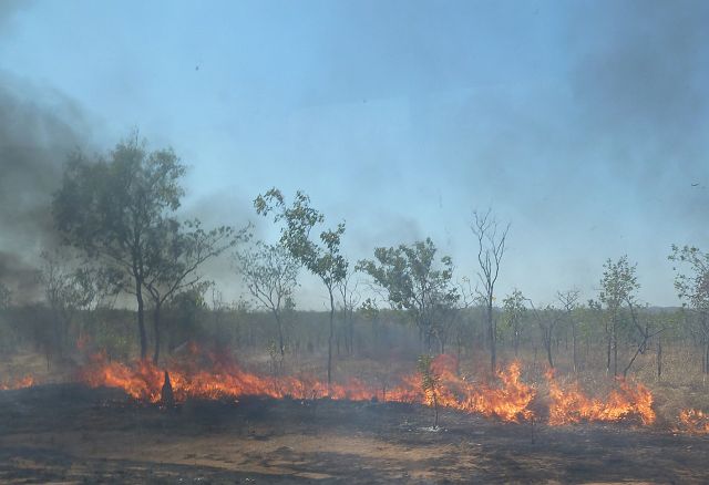 053-kakadu-20.jpg - Eindelijk hebben de ‘Balanda’ (niet-Aboriginals) begrepen dat aarde verbranden noodzakelijk is.