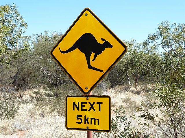 263-red-centre-uluru-36.jpg - En hier zouden ook nog kangoeroes rondhuppelen.