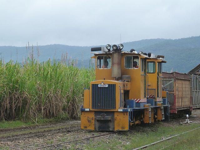 604-mossman-2.jpg - Hier wordt suikerriet geteeld. Een treintje zorgt voor het transport.