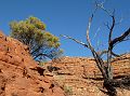 236-red-centre-kings-canyon-42