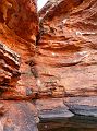 239-red-centre-kings-canyon-48