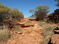 243-red-centre-kings-canyon-53