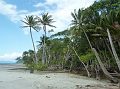 716-cape-tribulation-102-coconut-beach
