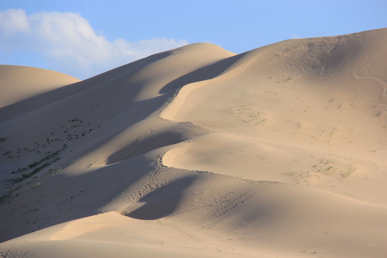 522-Khongoryn-Els-092.jpg - Uitgerust van de kamelentocht en gesterkt door het avondeten, beginnen we aan de klim van deze hoge duin.