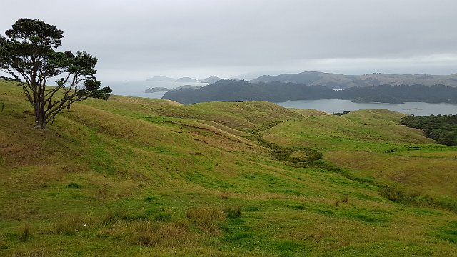 012-coromandel-001.jpg - De Coromandel Peninsula, ten oosten van Auckland, is een natuurlijke barrière tussen de Hauraki Golf en de Pacifische Oceaan. Het heuvelachtige schiereiland wordt voor het grootste deel bedekt met subtropisch regenwoud.