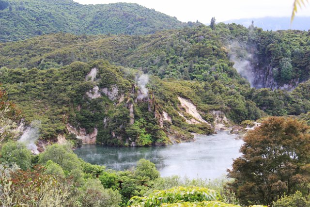 044-Rotorua-Wainangu-Volcanic-Valley-043.jpg - Dit gebied ligt in het Nieuw-Zeelandse gedeelte van de ‘Pacific Ring of Fire’, waar de tektonische platen van de Stille Zuidzee en van India-Australië elkaar raken.
