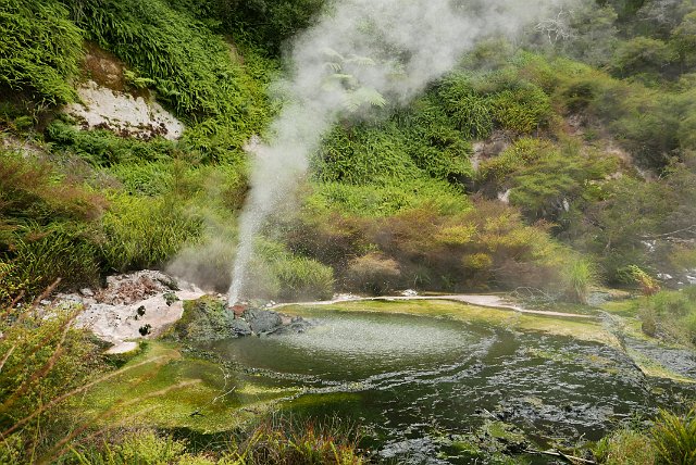 047-Rotorua-Wainangu-Volcanic-Valley-021.jpg