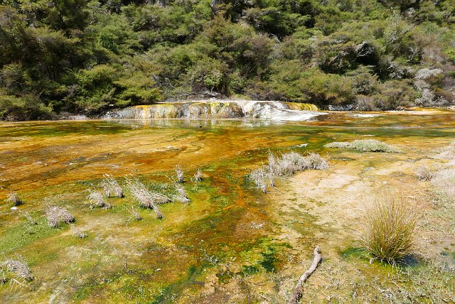 049-Rotorua-Wainangu-Volcanic-Valley-026.jpg - MarbleTerraces. Het water heeft hier een gemiddelde temperatuur van 97° C.