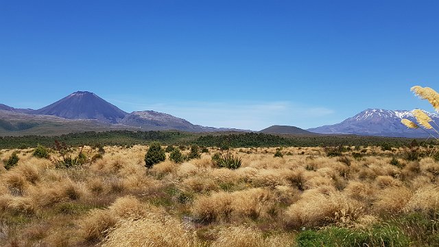 084-Tongariro-Northern-Circuit-Whakapapa-Village-001.jpg - We naderen het Tongariro National Park, gelegen in het hart van het Noordereiland. We staan oog in oog met 3 actieve vulkanen: Mt Tongariro (1968 m), Mt Ngauruhoe (2290 m, gekend van The Lord of the Rings) en Mt Ruapehu (2796 m).