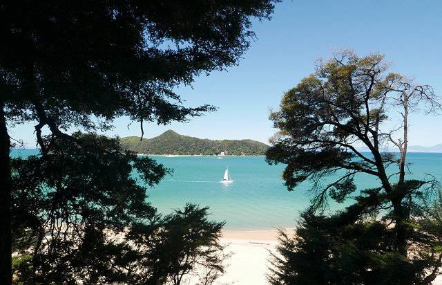 233-Abel-Tasman-Apple-Tree-Bay-022.jpg - Abel Tasman is rijk aan blauwgroene idyllische baaien.