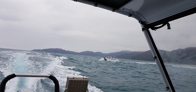245-Abel-Tasman-track-dag-1-026.jpg - We nemen de watertaxi van Marahau naar Totaranui. De zee is onstuimig…
