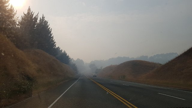 299-Punakaiki-op-weg-naar-003.jpg - Onderweg richting zuiden zien en ruiken we rook. Een paar dagen geleden woedde een hevige brand en de getroffen streek is nog steeds afgesloten. We moeten dus omrijden.