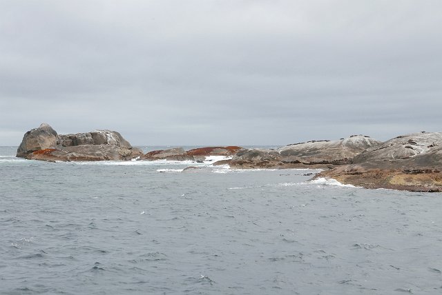 478-Doubtful-Sound-052.jpg - Op de rotsen liggen zeehonden die wellicht ook liever zon zouden hebben.