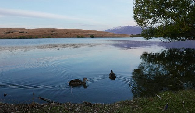 640-lake-mcgregor-167.jpg - Dit is nog maar eens genieten van een rustig en prachtig gelegen meer, ééntje uit de duizend waar Nieuw-Zeeland rijk aan is. Slaapwel!