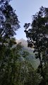 493-Milford-Sound-001-camping