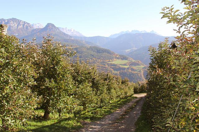 076-keschtnweg-102.jpg - Südtirol ist der Obstgarten Europas. Gut für ein Zehntel der Europäischen Apfelproduktion.